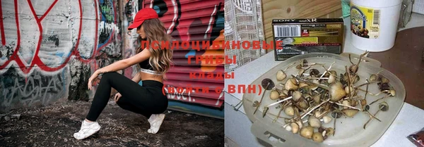 молекула духа Володарск