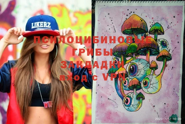 ECSTASY Приозерск