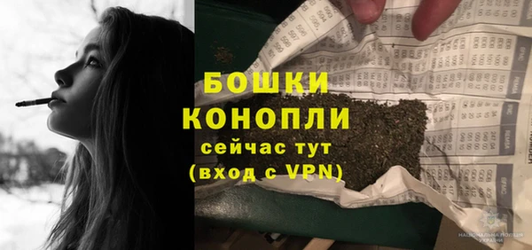 молекула духа Володарск