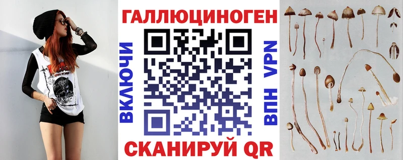Псилоцибиновые грибы GOLDEN TEACHER Находка